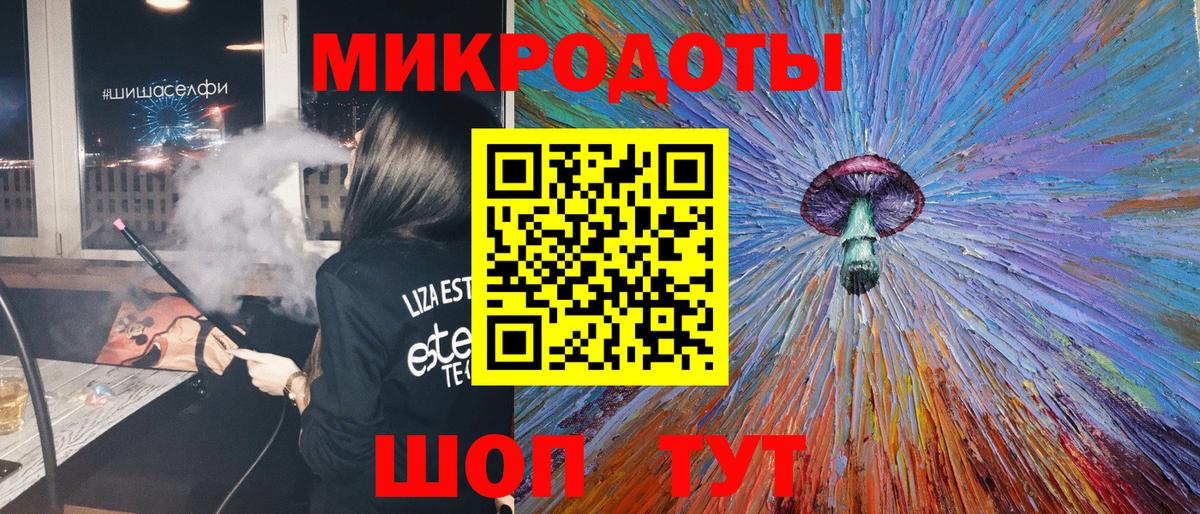Псилоцибиновые грибы Psilocybine cubensis Магадан